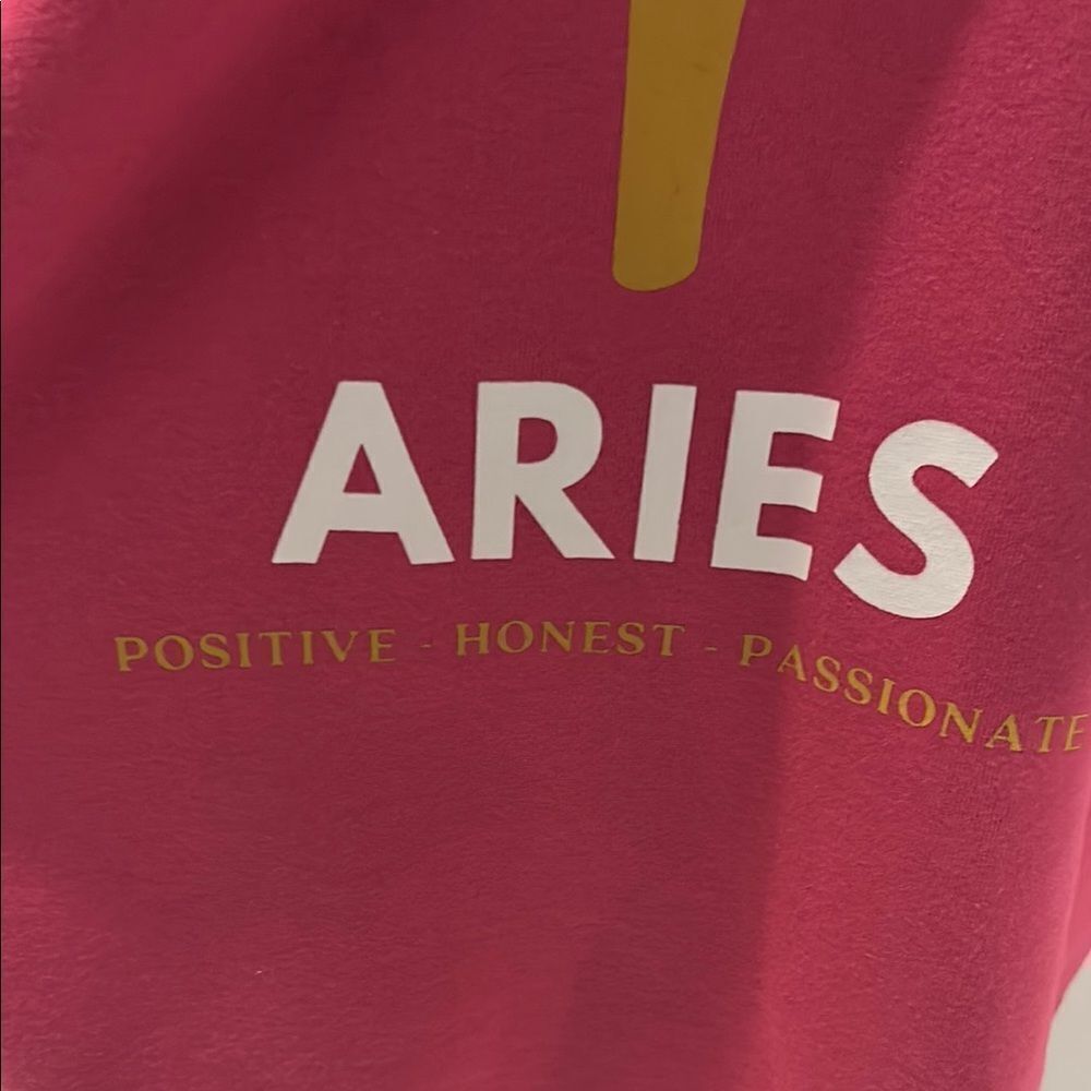 Anthropologie and Pink Aries Graphic Sweat Shirt - Picture 3 of 8